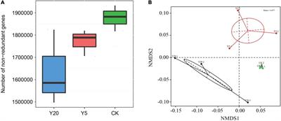 Long-term continuous mono-cropping of Macadamia integrifolia greatly affects soil physicochemical properties, rhizospheric bacterial diversity, and metabolite contents